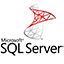 Microsoft SQL Server 2008